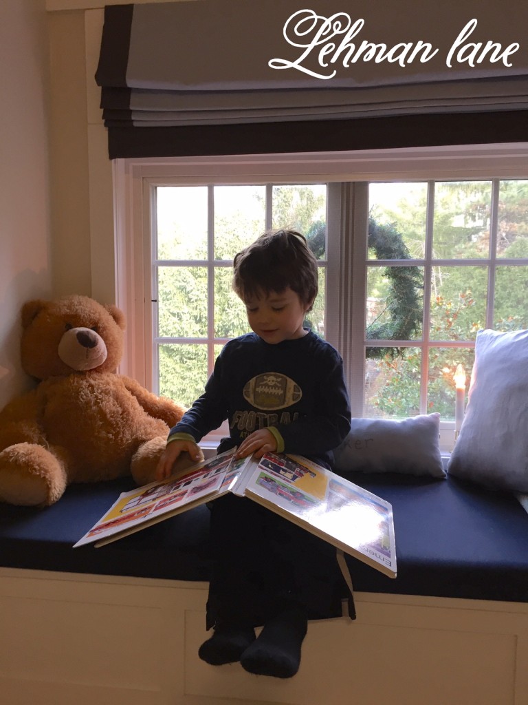 How to Make a Built in Bookcase and Window Seat - Tucker's Room