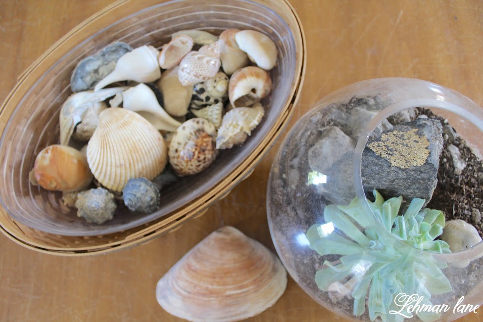Shells make the prfect summer decorating accessory, especially in the summer! Come see how I use them to decorate our farmhouse! farmhouse summer tour coffee table shells
