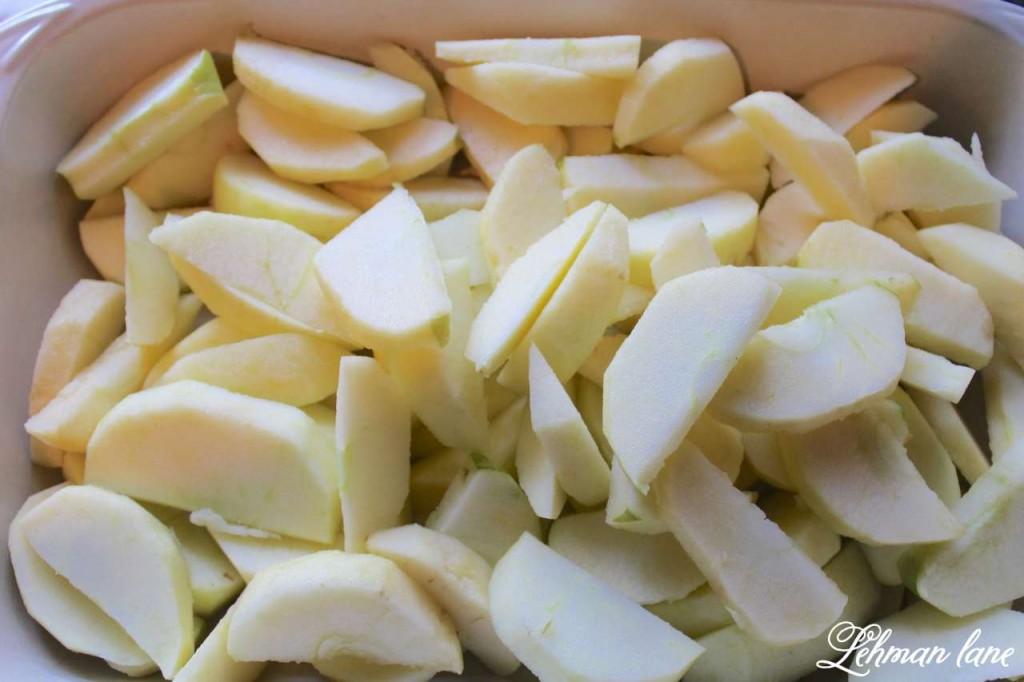 Homemade Apple Crisp Recipe - Peeled Apples in 9 X 13