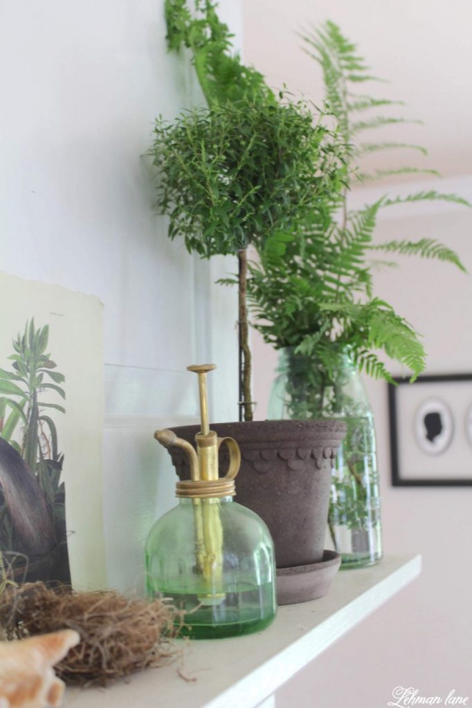 Summer Mantel with Greenery - Summer is the time of year my plants go on holiday to our backyard. However, I always bring a few in to add color to my fireplace mantel. I want my summer mantel to be as colorful & green as the yard outside my window. Decorating with greenery can be easy as pie & totally free when it's found in your home garden. Check out my summer mantel below along with even more summertime mantel decorating ideas from my blogging friends! #summermantel http://lehmanlane.net