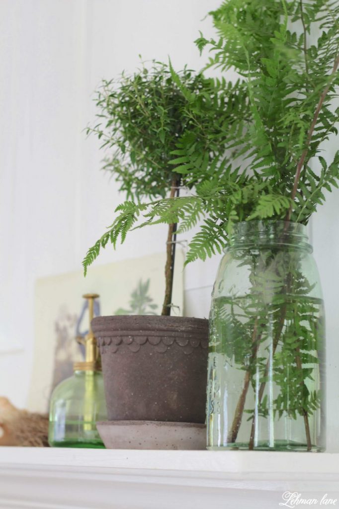 Summer Mantel with Greenery - Summer is the time of year my plants go on holiday to our backyard. However, I always bring a few in to add color to my fireplace mantel. I want my summer mantel to be as colorful & green as the yard outside my window. Decorating with greenery can be easy as pie & totally free when it's found in your home garden. Check out my summer mantel below along with even more summertime mantel decorating ideas from my blogging friends! #summermantel http://lehmanlane.net