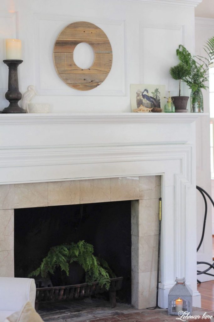 Summer Mantel with Greenery - Summer is the time of year my plants go on holiday to our backyard. However, I always bring a few in to add color to my fireplace mantel. I want my summer mantel to be as colorful & green as the yard outside my window. Decorating with greenery can be easy as pie & totally free when it's found in your home garden. Check out my summer mantel below along with even more summertime mantel decorating ideas from my blogging friends! #summermantel http://lehmanlane.net