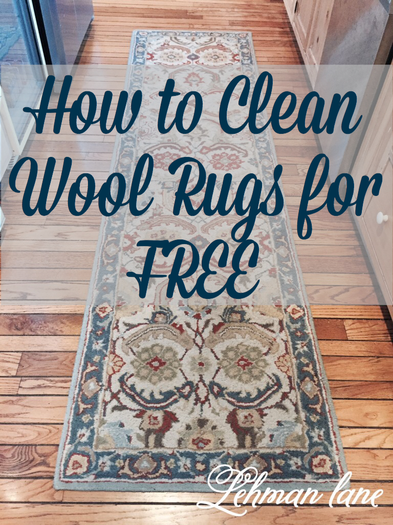 How To Clean Wool Rugs For Free With Snow Easy Diy Lehman Lane
