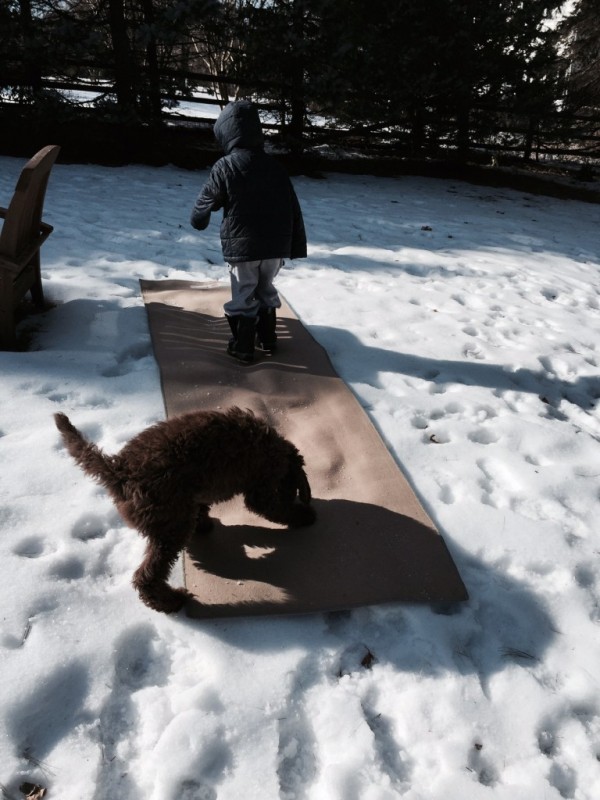 How to Clean Wool Rugs for FREE with Snow (Easy DIY) Lehman Lane