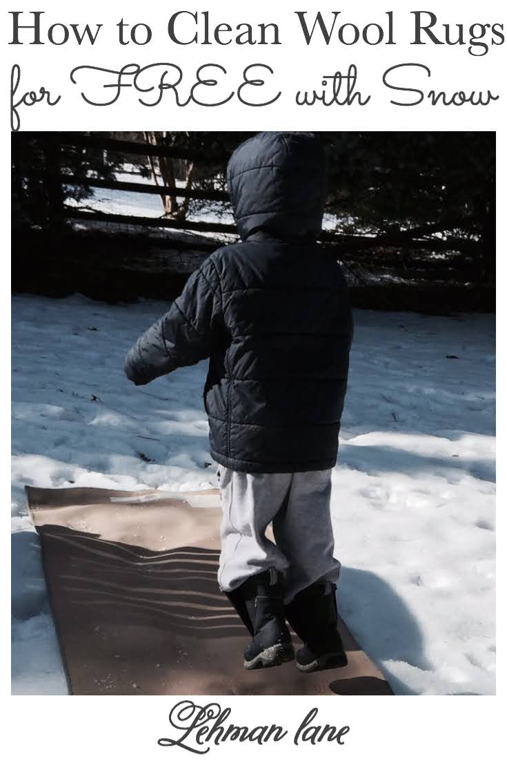 How to Clean Wool Rugs for FREE with Snow (Easy DIY) Lehman Lane