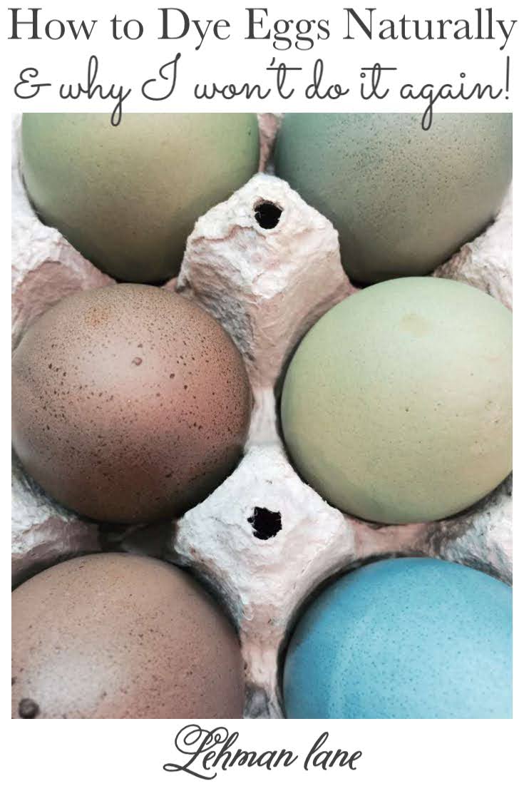 How to Dye Eggs Naturally & Why I will Never Do It Again Lehman Lane