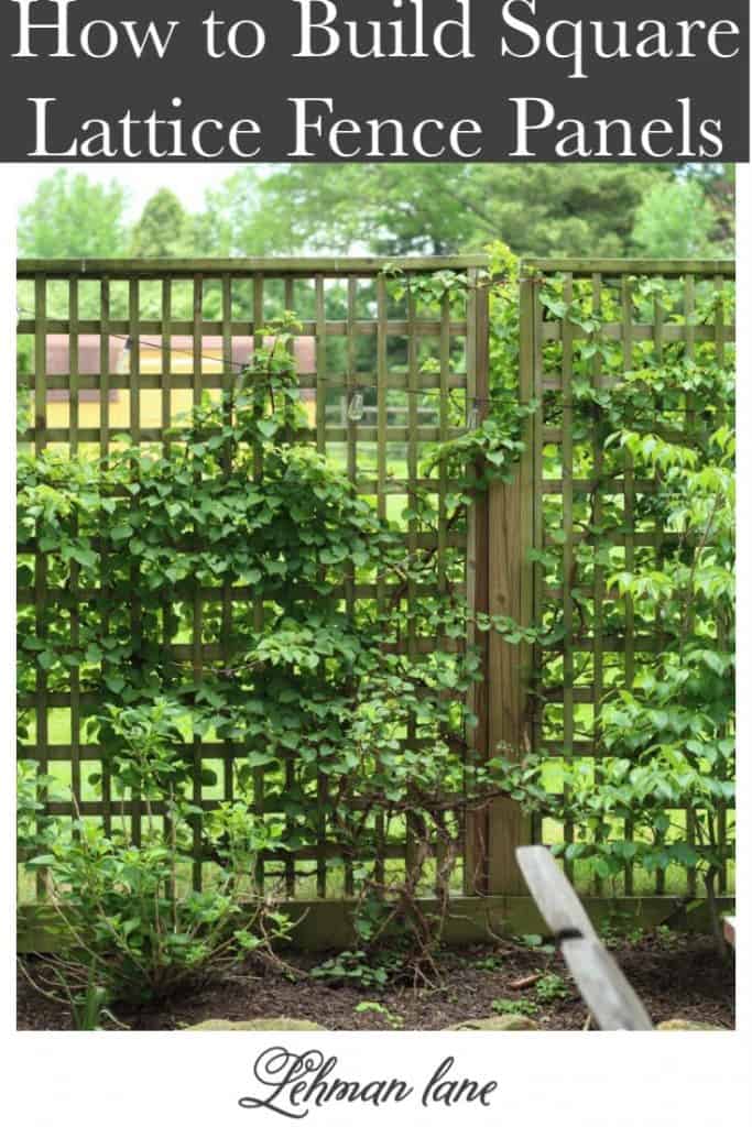 Sharing all my tips & tricks for how to build a beautiful DIY Square Lattice Fence Panels for a privacy fence with 4 easy step by step instructions & pictures! Our square lattice fence panels were simple to make, give us privacy off of our kitchen doors & will continue to look beautiful as with our hydrangea vine growing on it! #squarelatticefence #diyfence https://lehmanlane.net