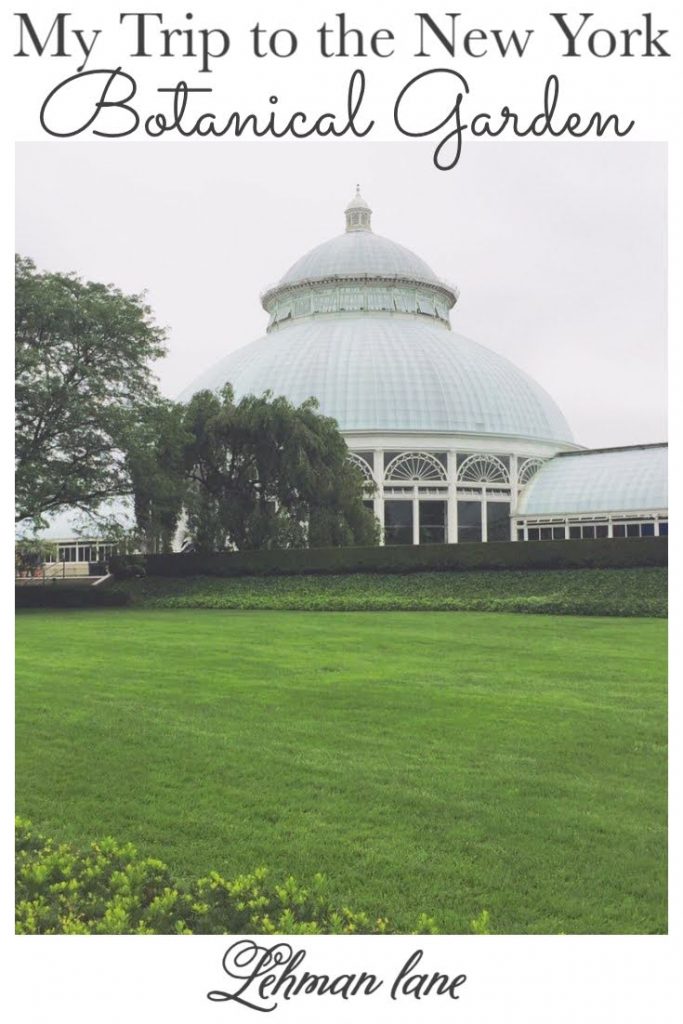 Sharing all the details of my trip & garden tour of the New York Botanical Garden with reviews of what I thought of the garden with pictures! #newbotanicalgarden #gardentour https://lehmanlane.net