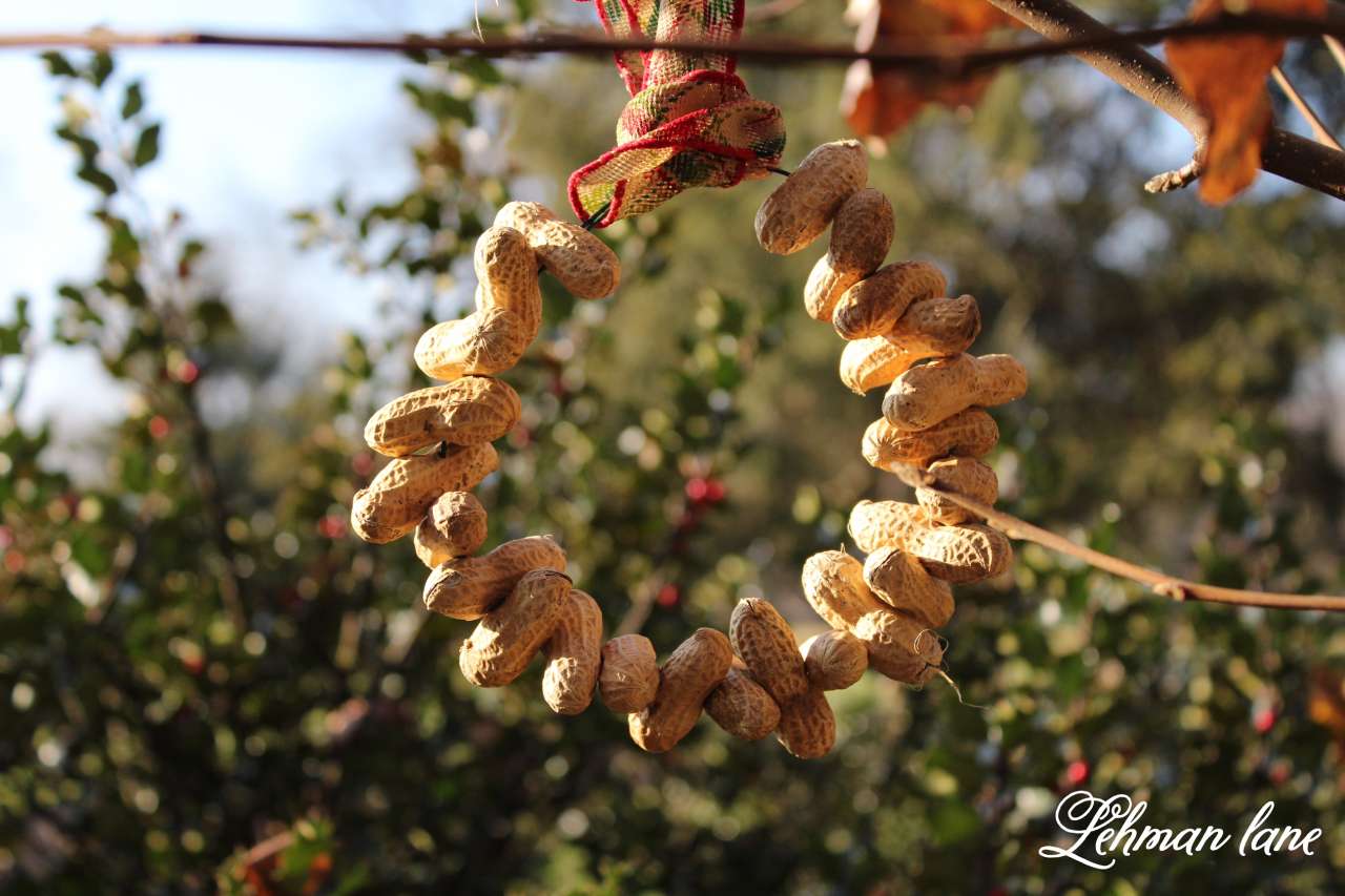12 Days of Christmas Blog Hop - Simple Peanut Ornament for the Birds