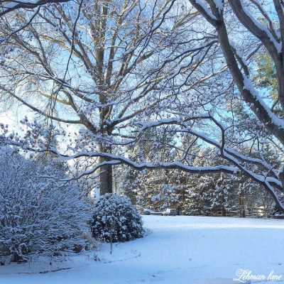 Sharing my 5 FAVORITE tips for how we keep & stay warm in winter while in our home without turning up the heater thermostat. #winter #farmhouse #energysavingtips https://lehmanlane.net