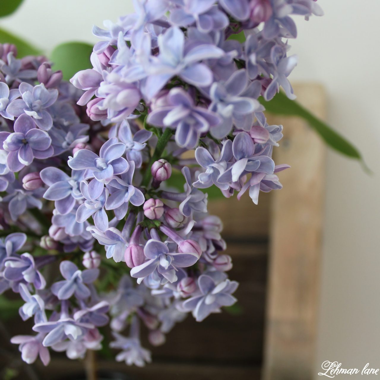 DIY How to Make a Pallet Shelf for Flowers Lehman Lane