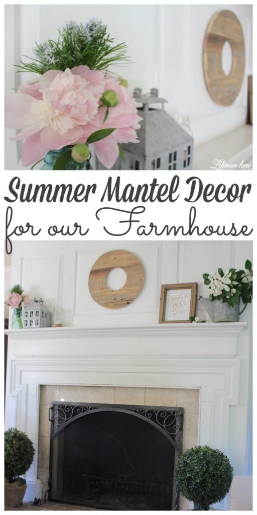 Summer mantel décor at our farmhouse is kept simple.  It's important to me to celebrate the beauty outside our windows as well as celebrate the simplicity that our family strives for year round.  But especially in the summer :). Stop by to see my Summer Mantel along with 11 more Summer mantels from my blogging friends! #summer #manteldecor #summermantel #farmhousestyle http://lehmanlane.net