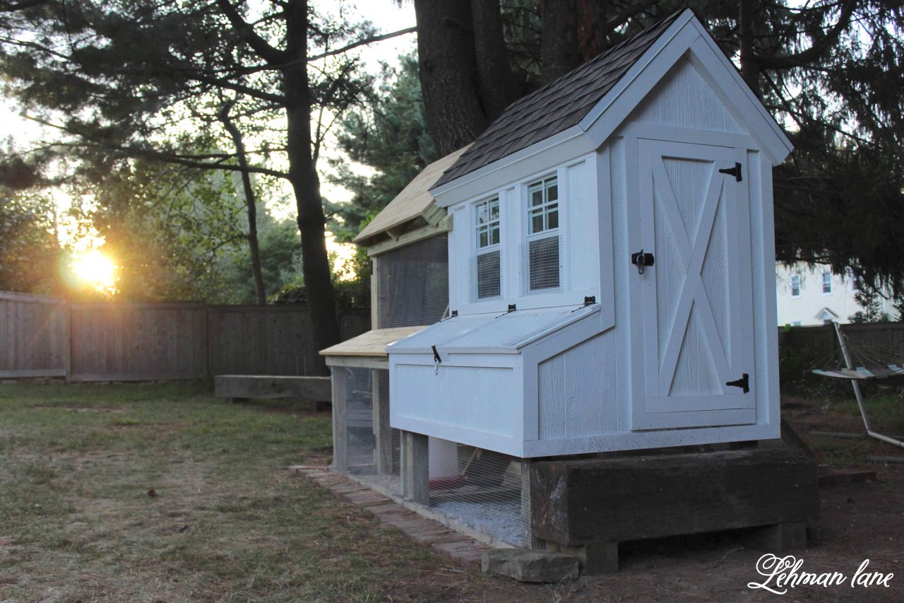 DIY - How to build the ultimate chicken coop & run that your chickens & husband will LOVE. It looks super cute in the yard too! #chickencoop #chickens #backyardchickens #chickenrun #diy https://lehmanlane.net