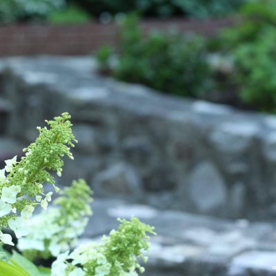 I have started A LOT of gardens around our farmhouse & today I am sharing 6 of my favorites. These small garden ideas are simple to create & look beautiful! #gardening #smallgarden #gardenideas https://lehmanlane.net