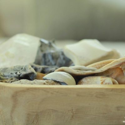 I love to decorating with shells, especially in the summertime! Today, I am talking all about how I use shells to decorate our farmhouse in the summer. #shells #shellcrafts #shellart #summer #seashellcrafts https://lehmanlane.net