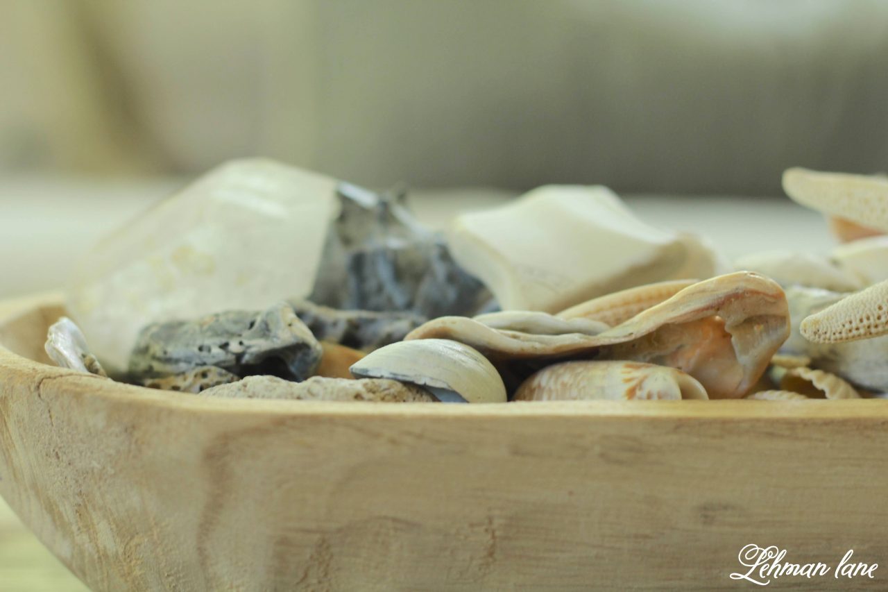 I love to decorating with shells, especially in the summertime! Today, I am talking all about how I use shells to decorate our farmhouse in the summer. #shells #shellcrafts #shellart #summer #seashellcrafts https://lehmanlane.net