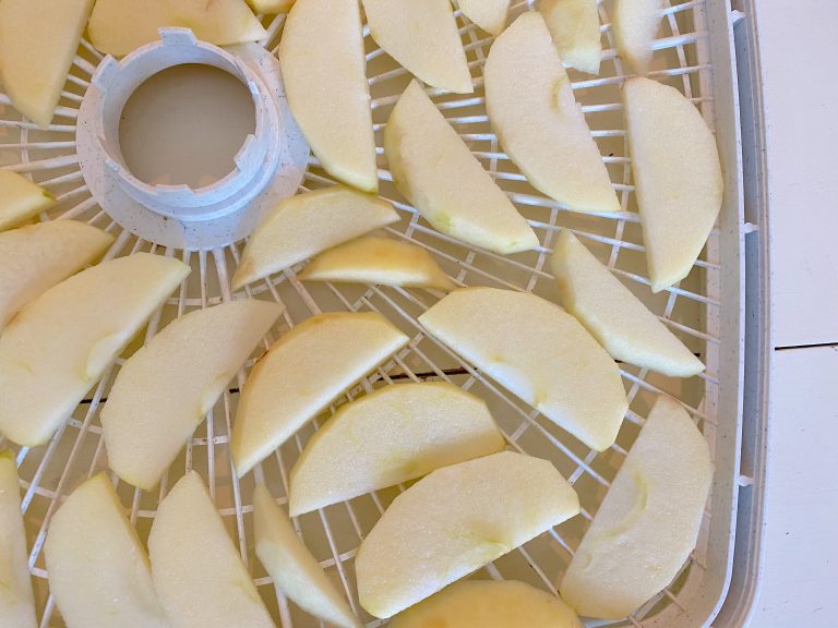 Easy Recipe for Homemade Dried Apple Slices the Perfect Fall Snack Lehman Lane