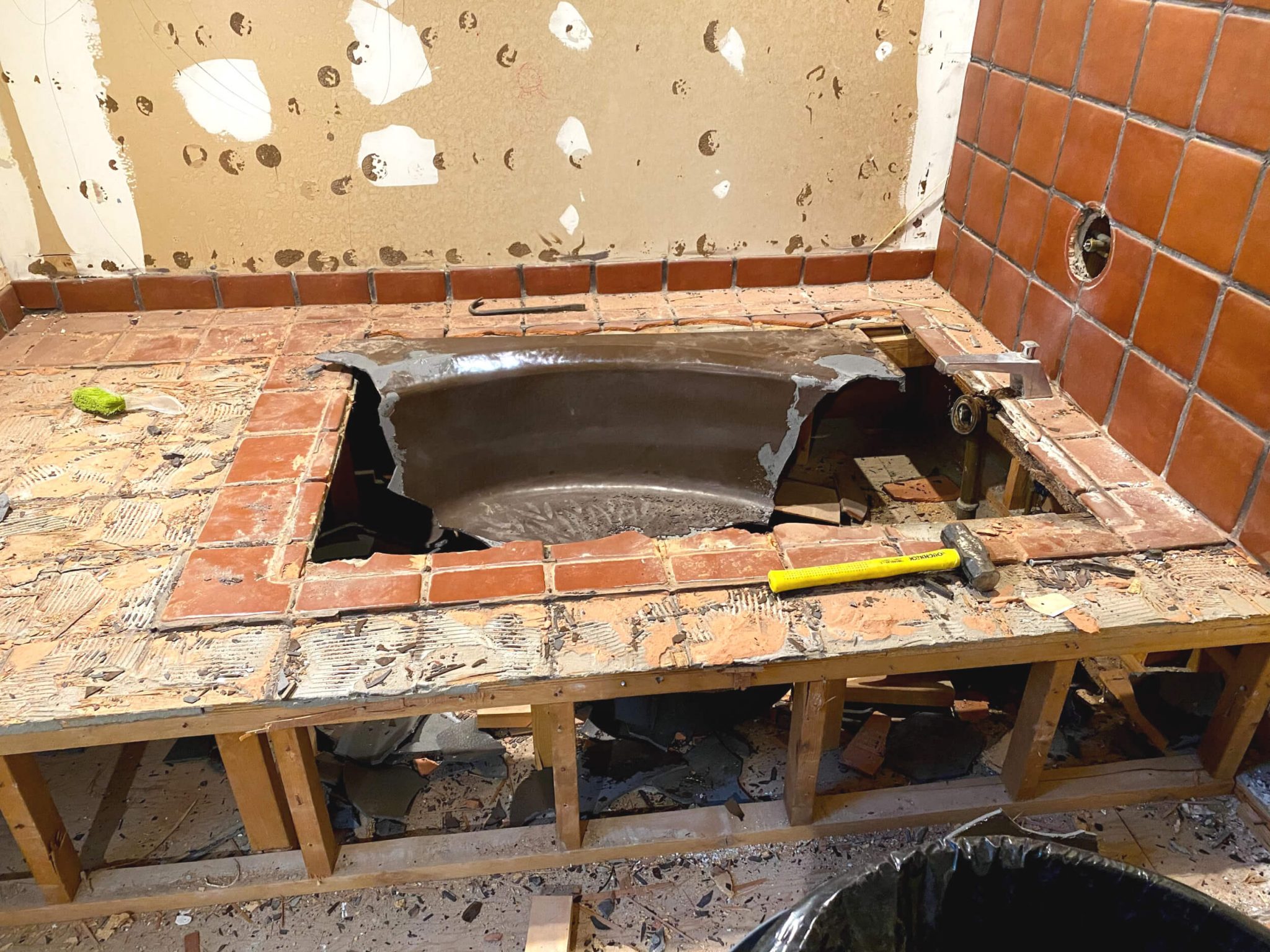 DIY Beautiful Deep Kohler Underscore Bathtub (& 1 Thing that surprised