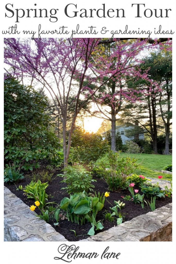 Sharing a tour of our Farmhouse's spring garden, my favorite spring plants & gardening ideas with pictures. #springgarden #gardentour https://lehmanlane.net
