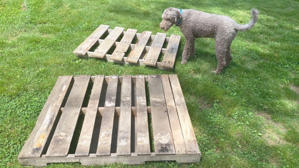 Sharing all of our tips & tricks for how to make the best DIY cornhole boards out of 2 pallets on a budget with fold in legs for storage & step by step instructions with pictures! #palletprojects #outdoorpalletprojects #diycornhole https://lehmanlane.net