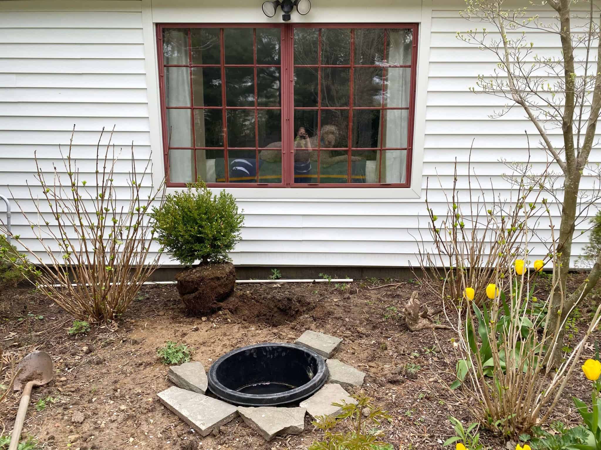 3 Beautiful Tips to Rock Landscaping under a Front Window or Picture