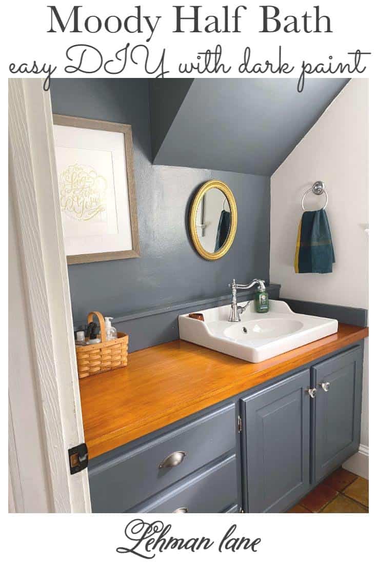 Moody Half Bath (a Stunning & Quick DIY Transformation in One Day
